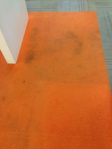 Office Carpet Cleaners Sydney