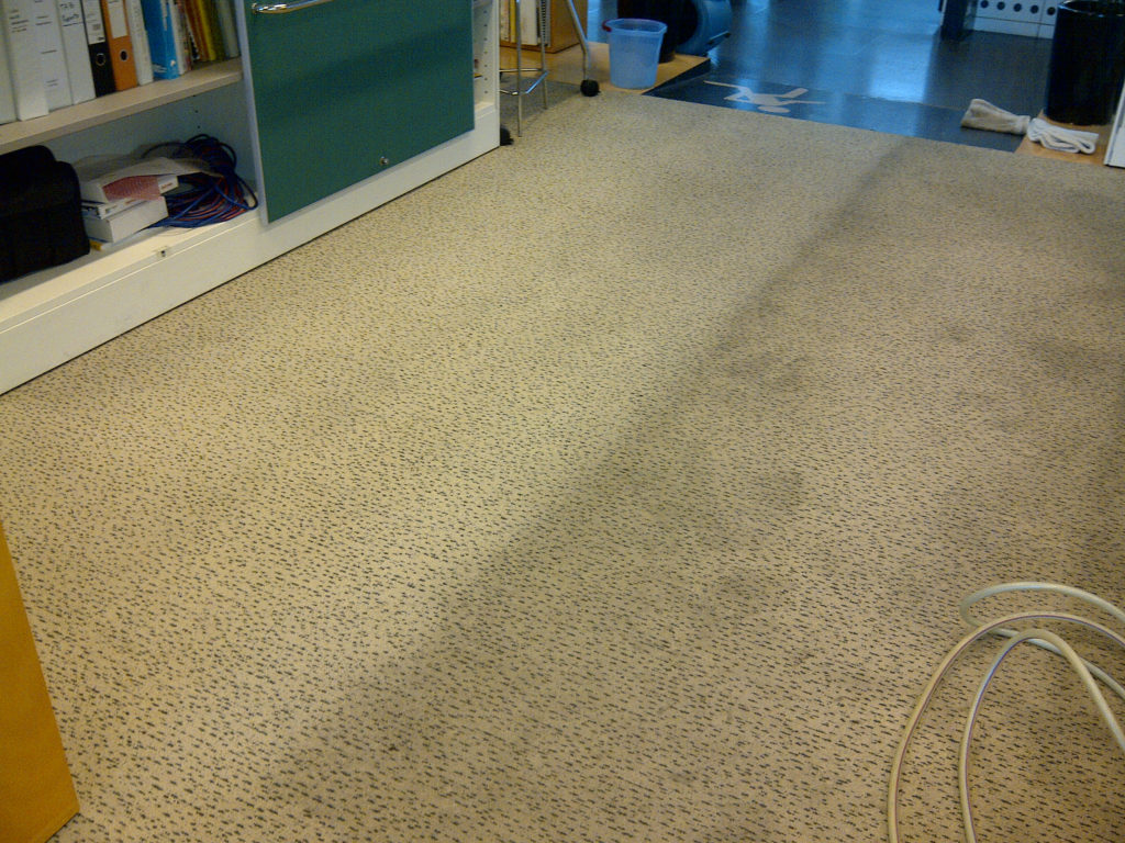 Commercial Carpet Cleaning Sydney